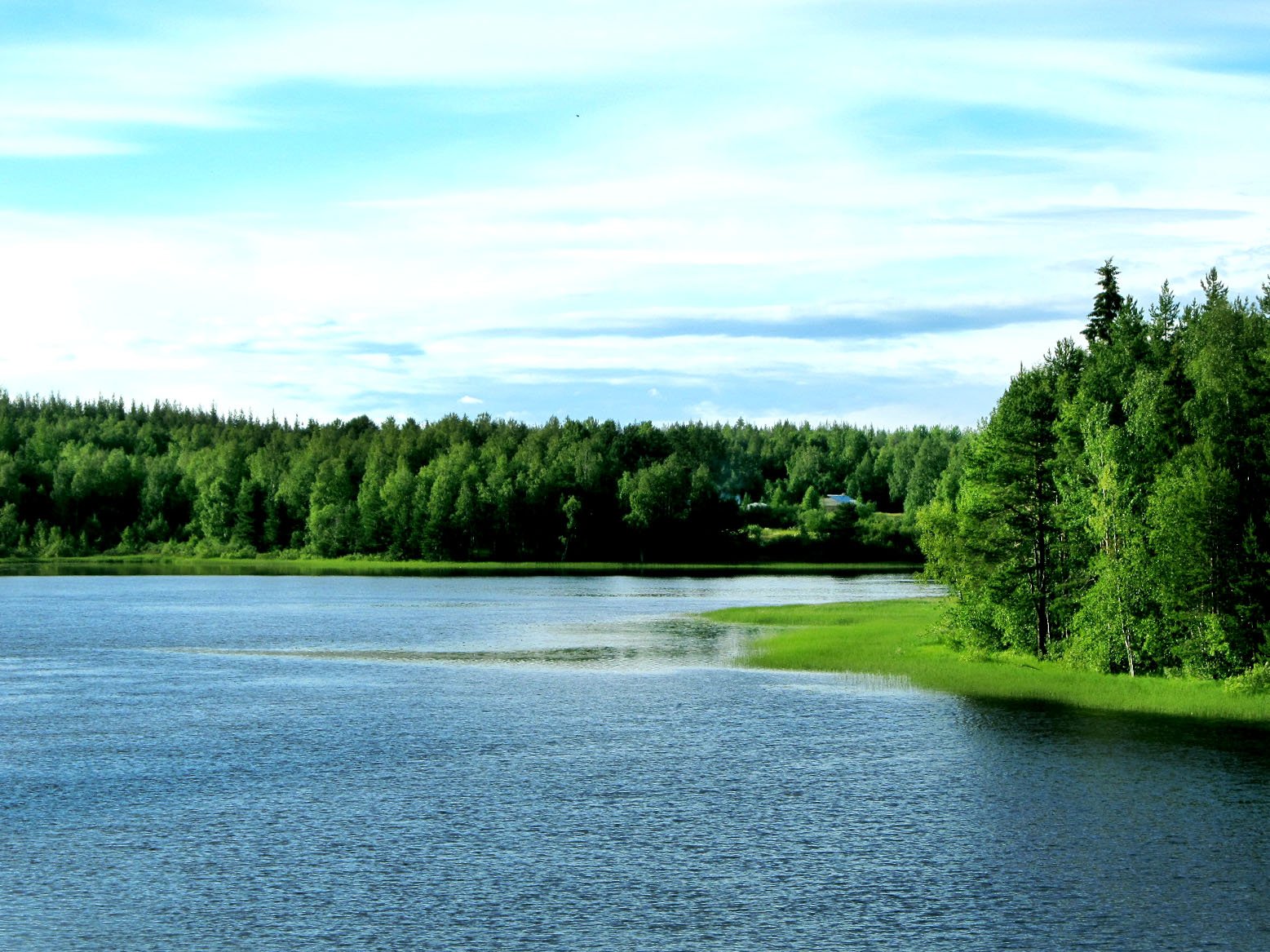 Озеро среднее озерное. Озеро Куйто Карелия. Калевала озеро. Озеро среднее Куйто. Карелия голубое озеро Куйто.
