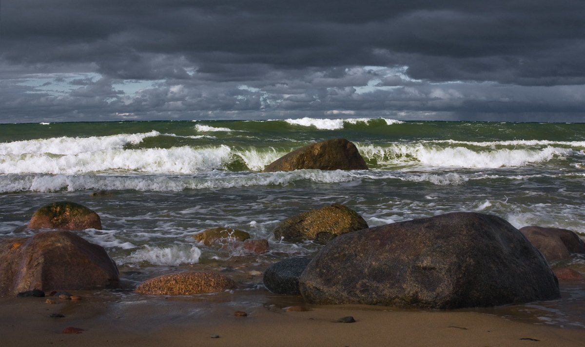 Балтийское море природа