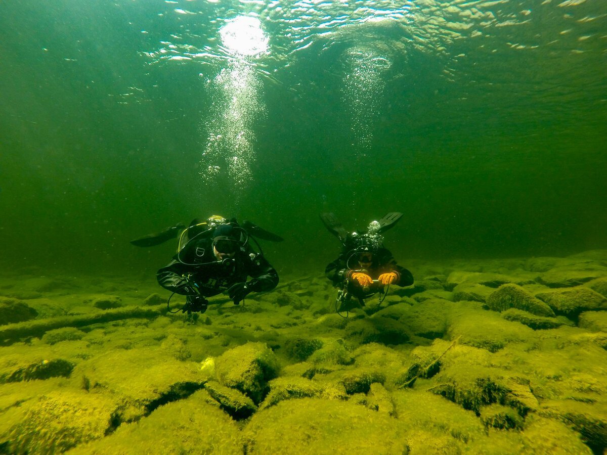 подводный мир реки волги