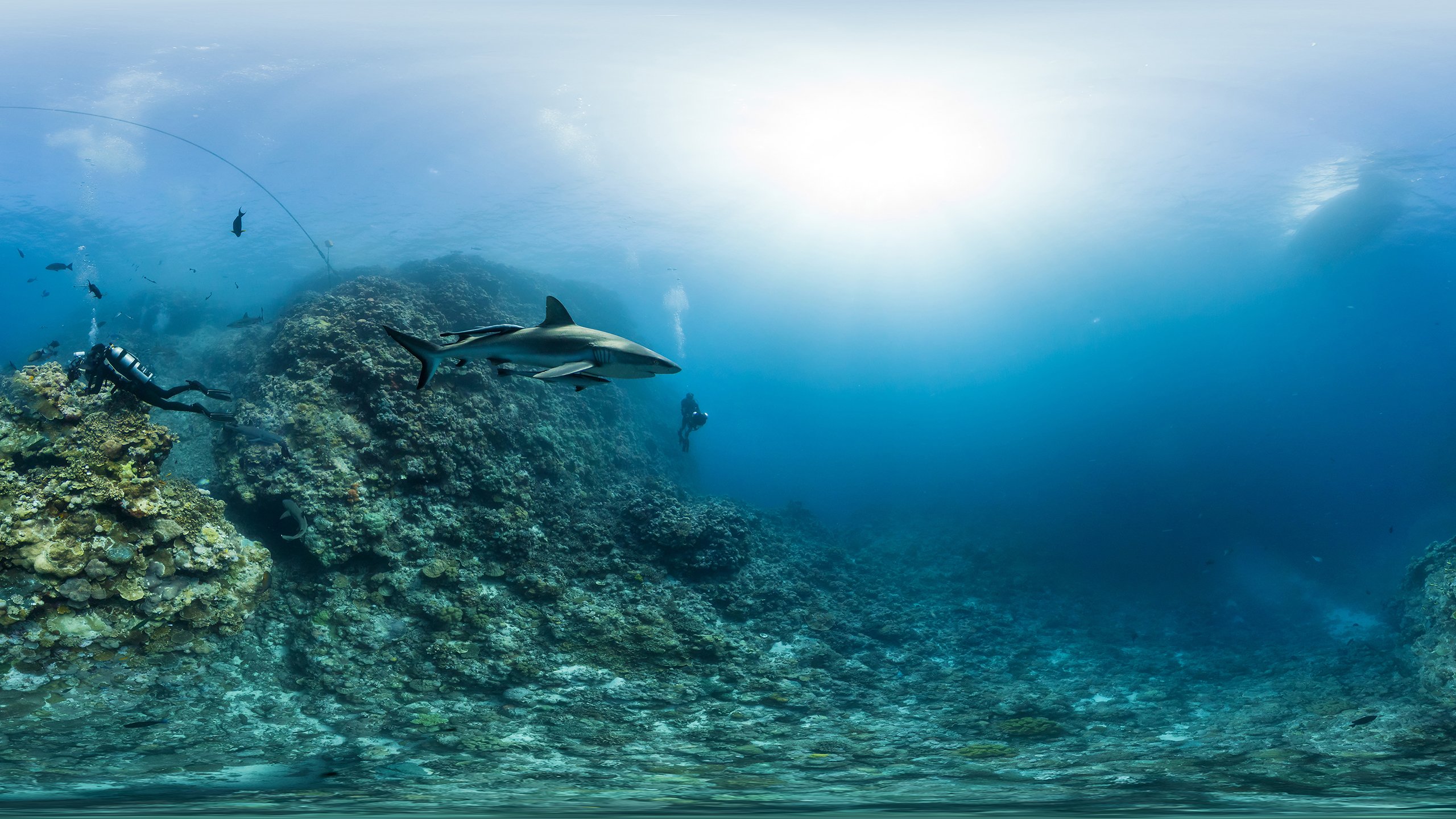 Черное море под водой