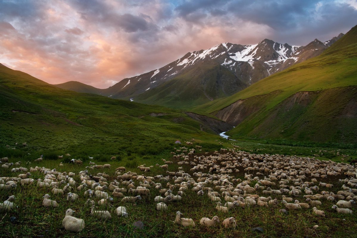 село гора