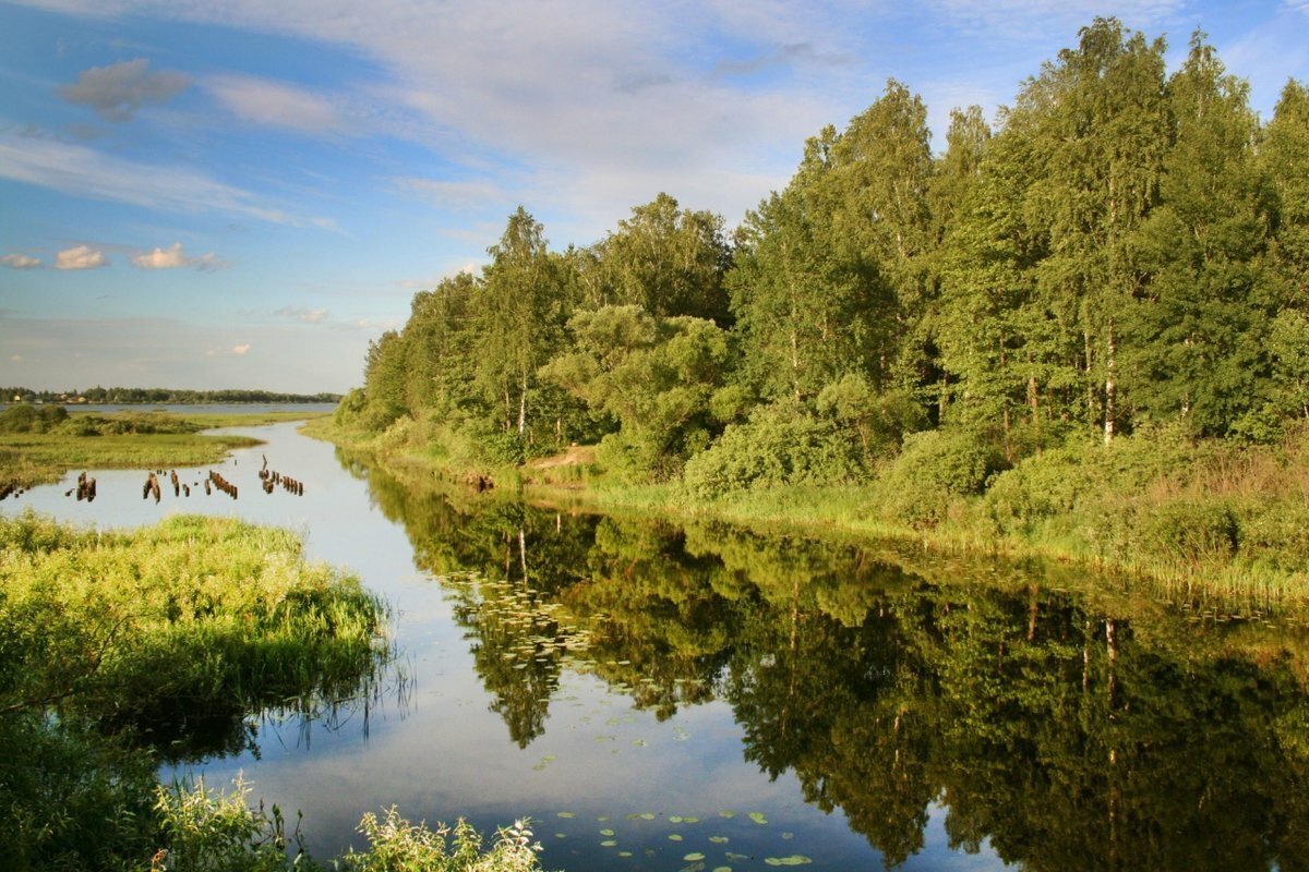 река пра рязанская область