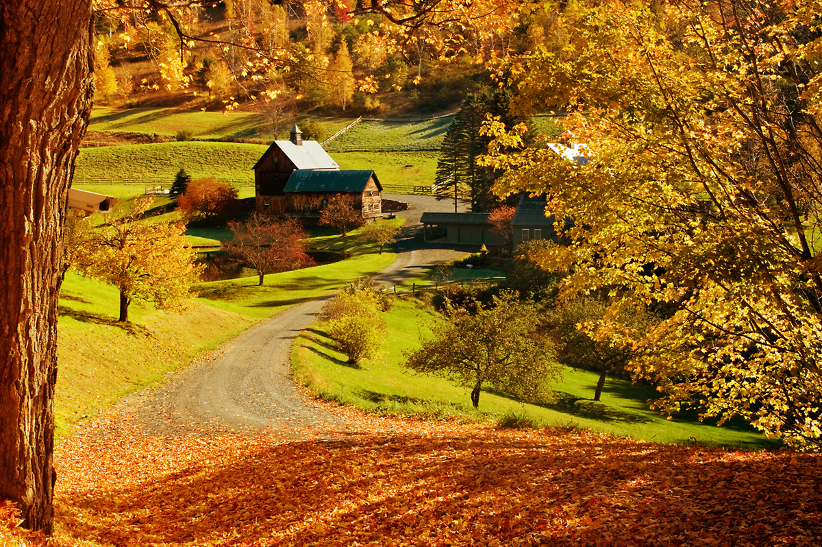 Осень в деревне - 76 фото