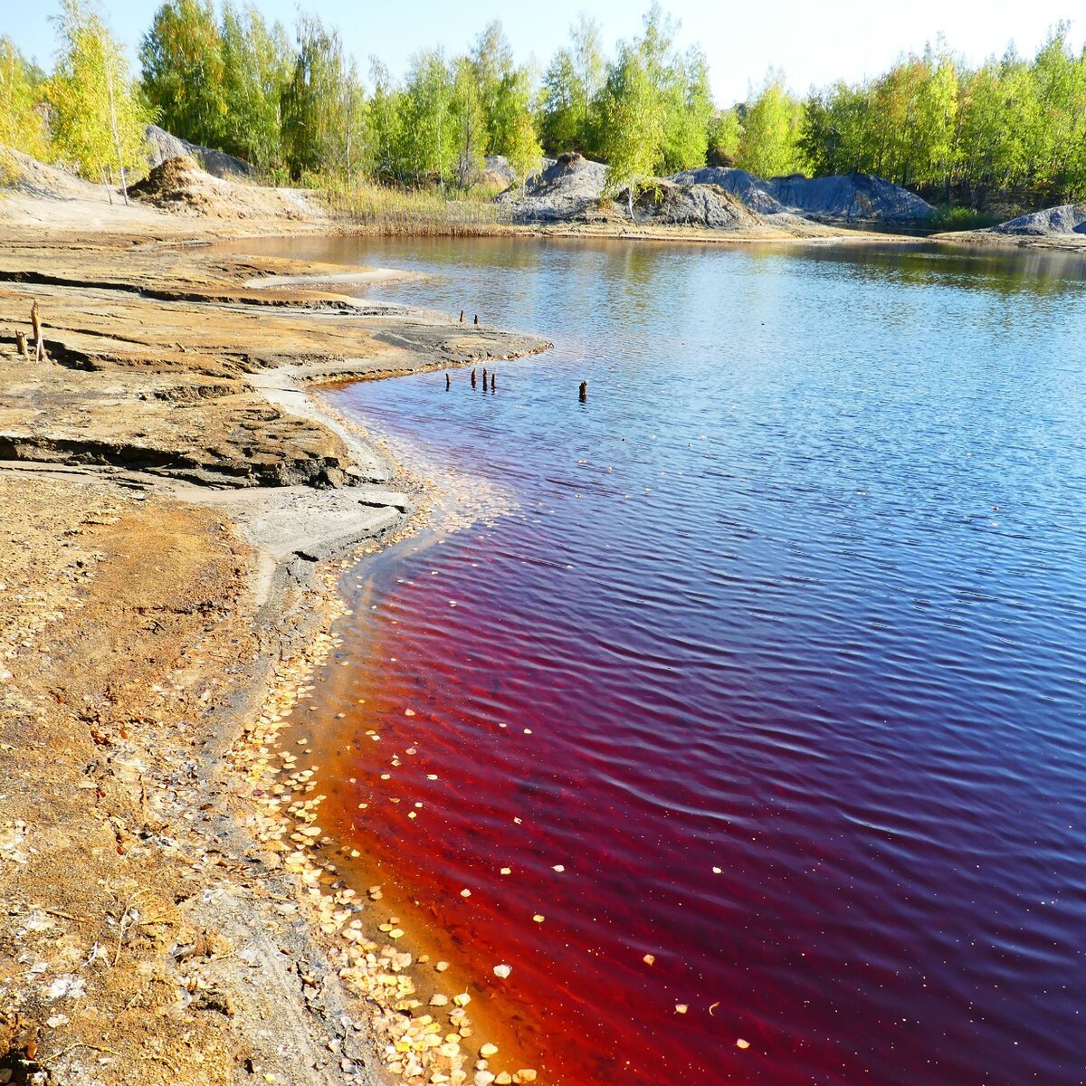 Почему вода тула. Кондуки красное озеро красное. Кондуки Тула красное озеро. Красное озеро Ленинградская область. Озеро красное Красноперекопск.