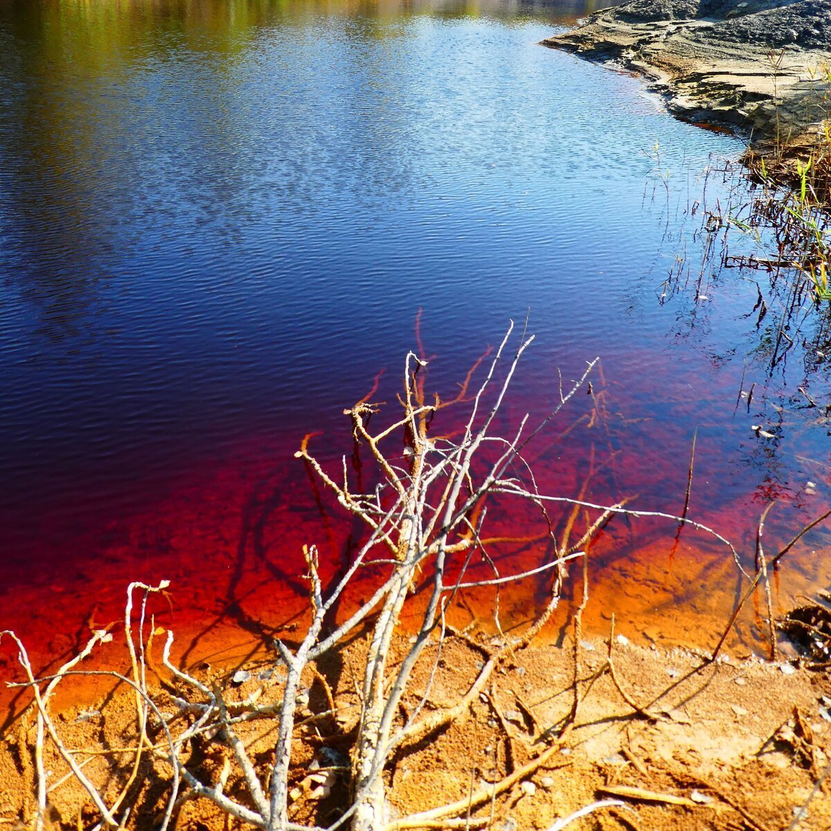 Красные озеры. Кондуки Тула красное озеро. Красное озеро Ленинградская область. Кондуки красное озеро красное. Красное озеро Зеленогорск.