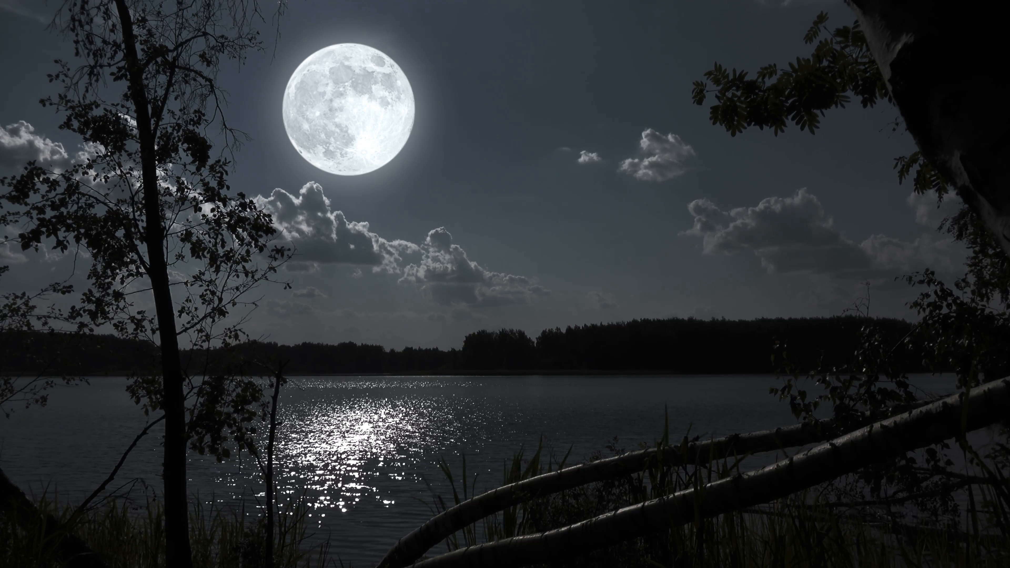 Лунная ночь. Луна. Ночное озеро. Лунный пейзаж. Свет луны 6