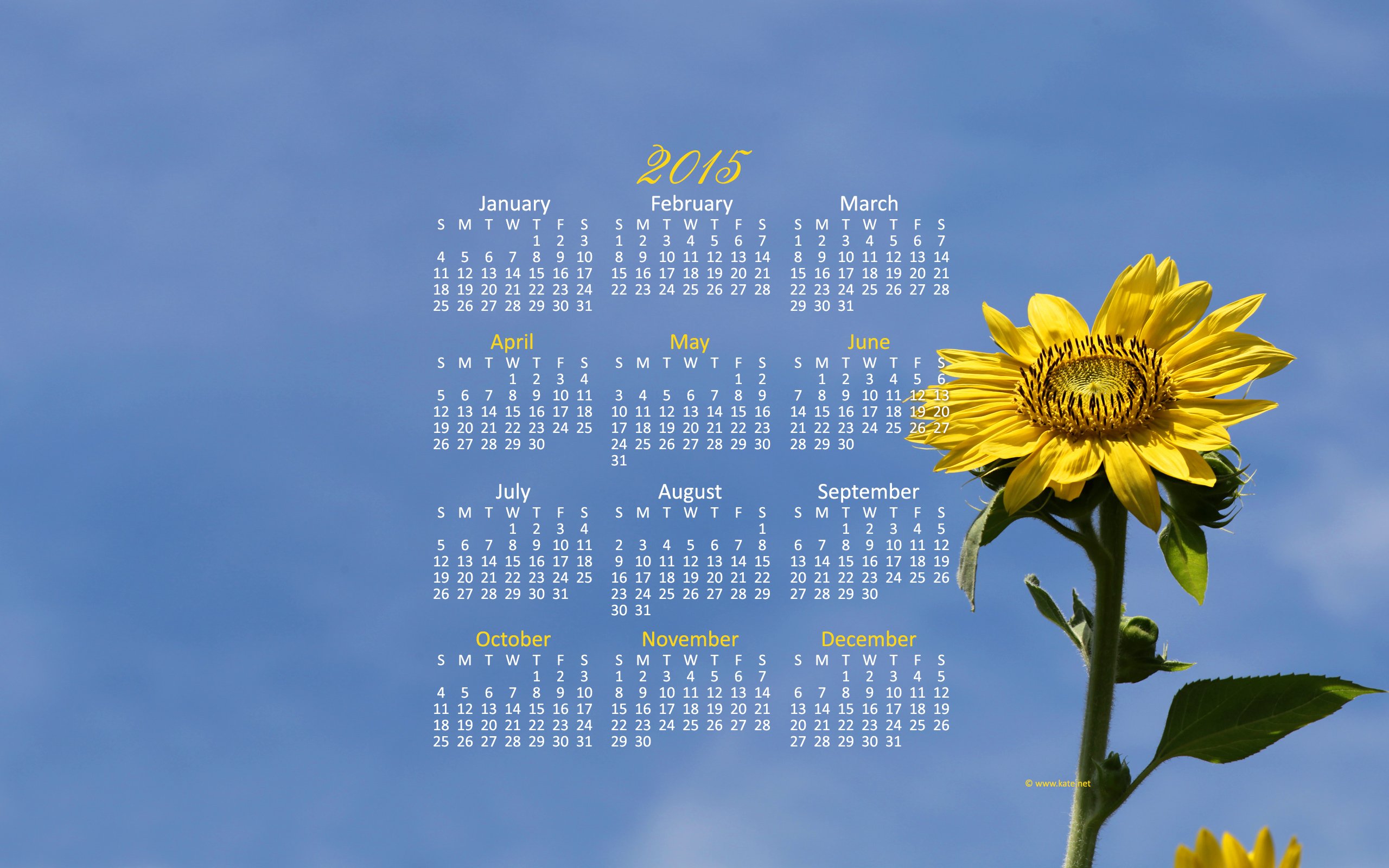 Контур календарь март 2024