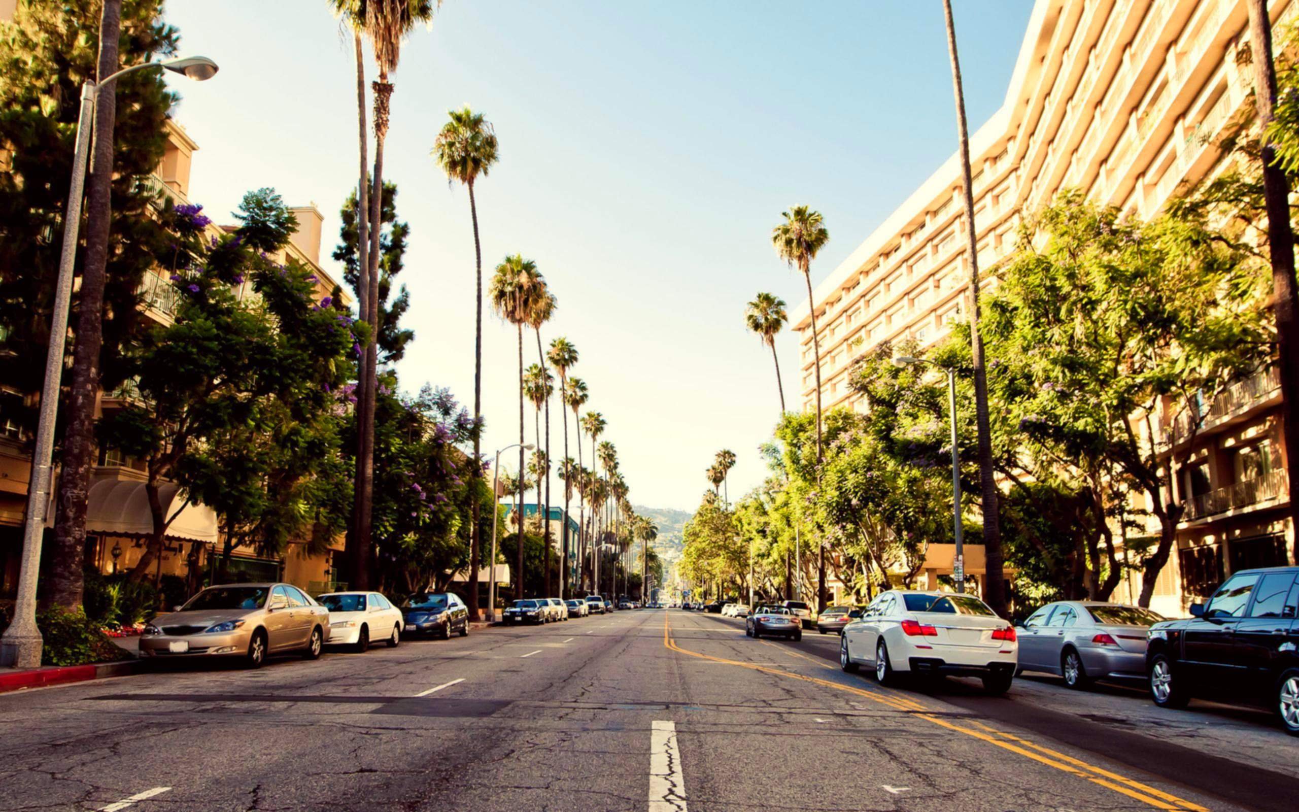 Los angeles street. Лос Анджелес Беверли Хиллз. Беверли Хиллз улица в Лос-Анджелесе. Лос-Анджелес Калифорния Голливуд. Беверли Хиллз улицы.