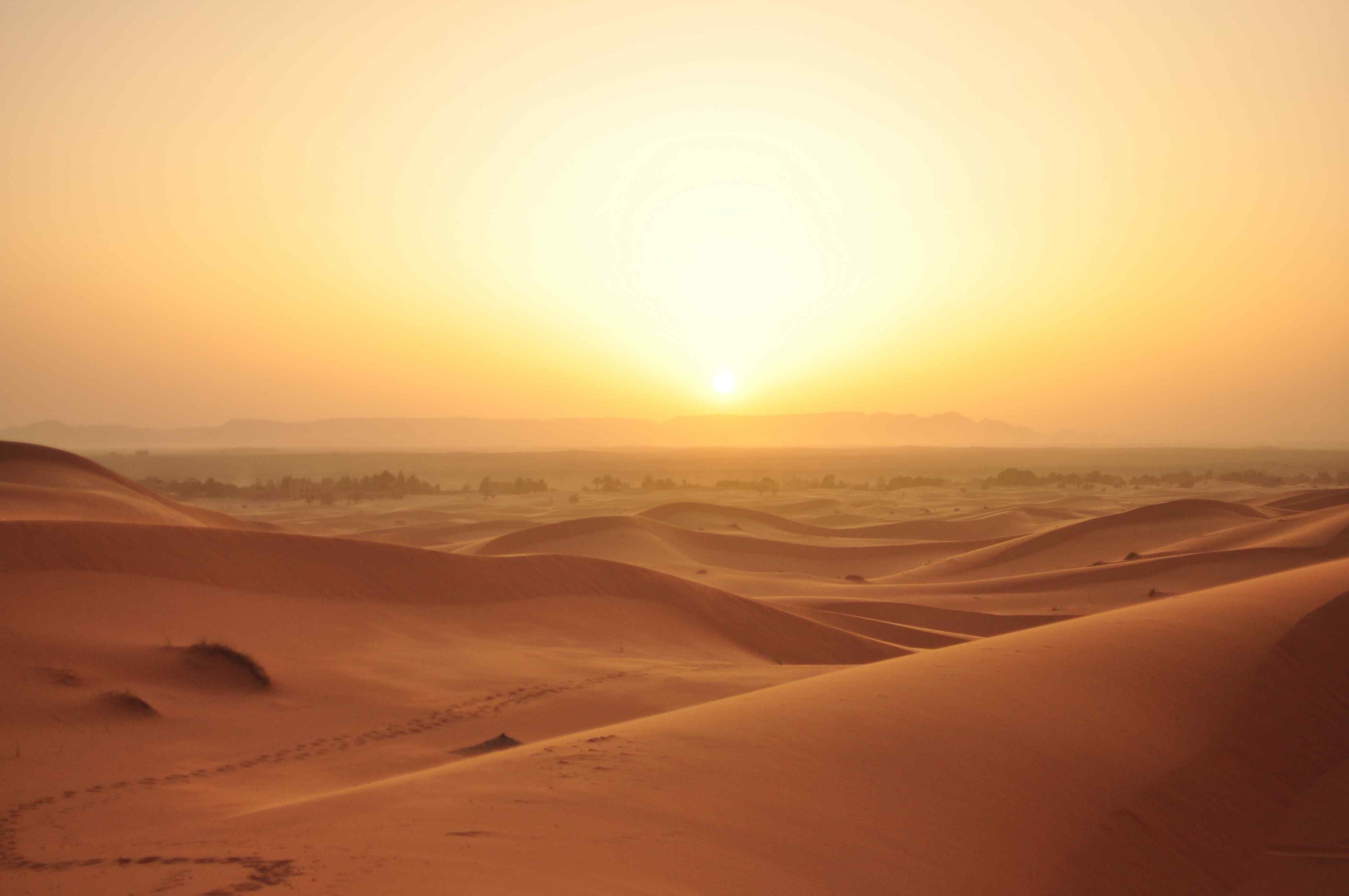 Далекий караван. Пустыни тар и полупустыни Индии. Пустыня дехна. Пустыня тар в Индии. Пустыня тар климат.