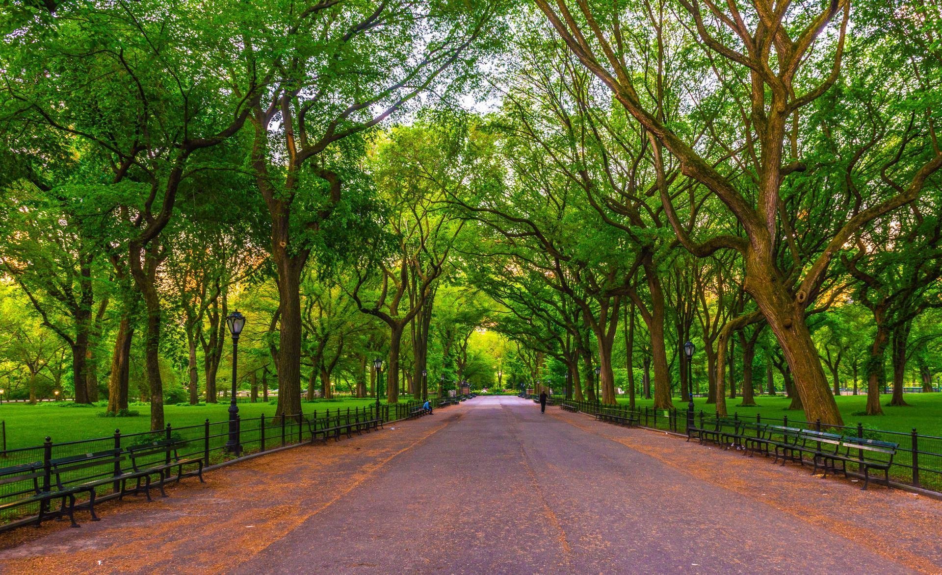 Парки в реальной жизни. Аллея Нью Йорк. Парк в Нью-Йорке тропинки. Центральный парк Нью-Йорк. Централ парк аллея Молл.