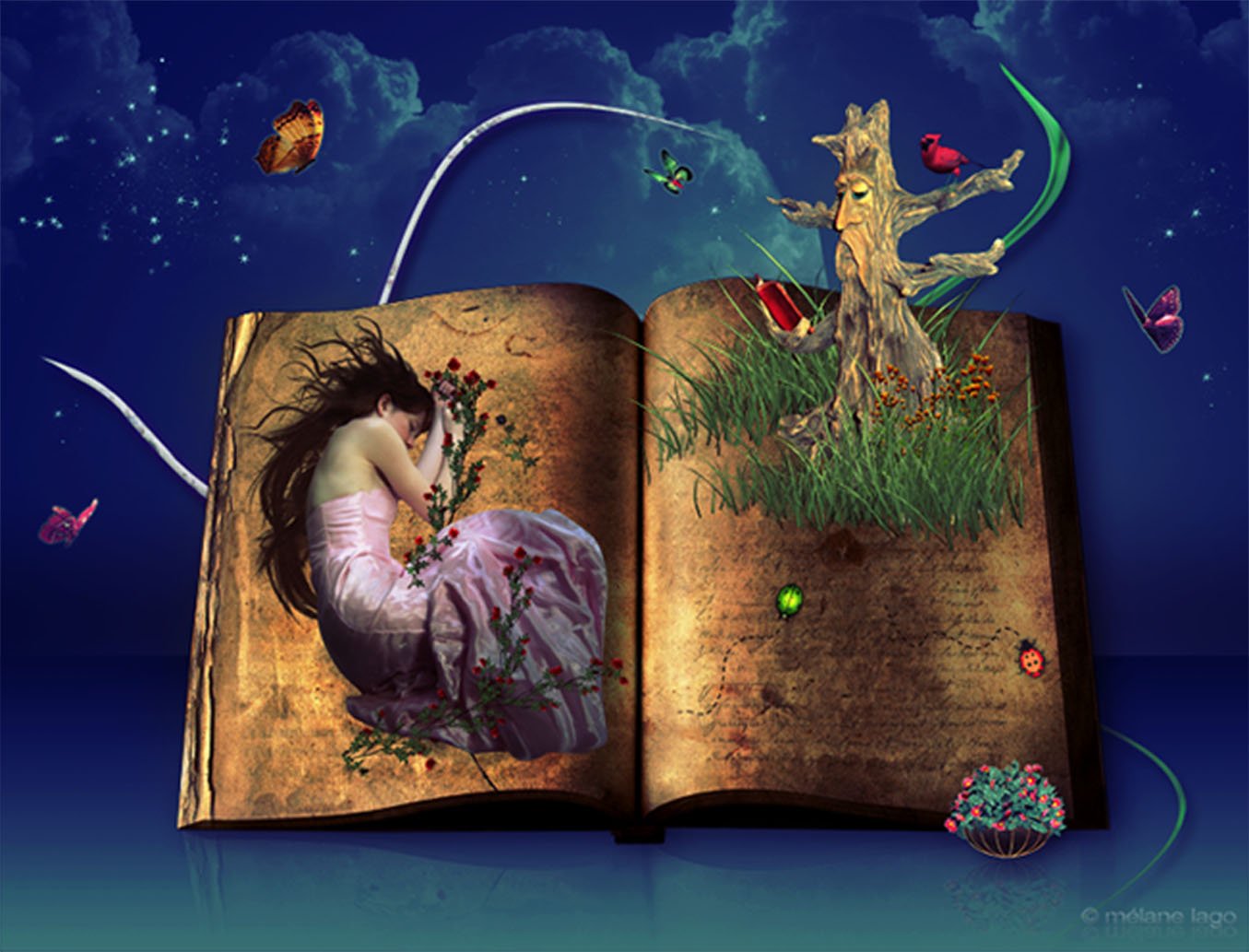 Красивая книга сказок. Иллюстрации к книгам. Красивые иллюстрации к книгам. Сказочная книга. Волшебная книга.