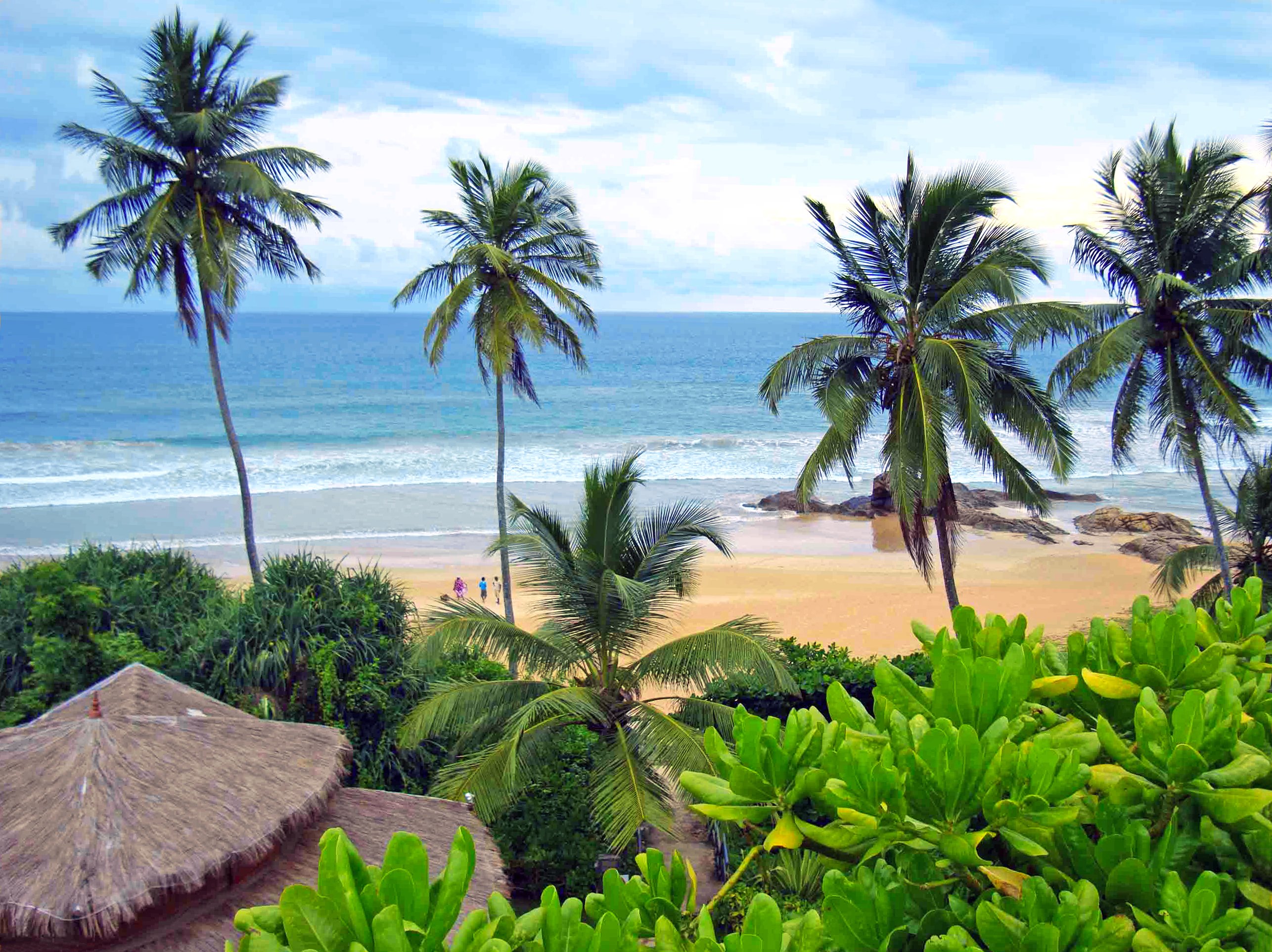 Пальмы шри ланки. Бентота Шри Ланка океан. Ваддува Шри Ланка. Пляж Бентота Шри Ланка. Шниланка Ваддува океан.