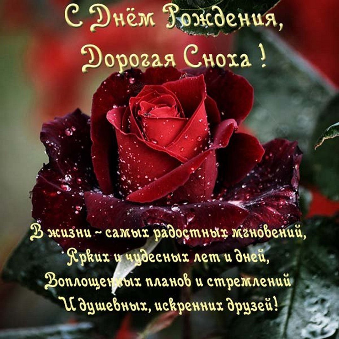 Поздравления с днем рождения невестке от свекрови kinotv