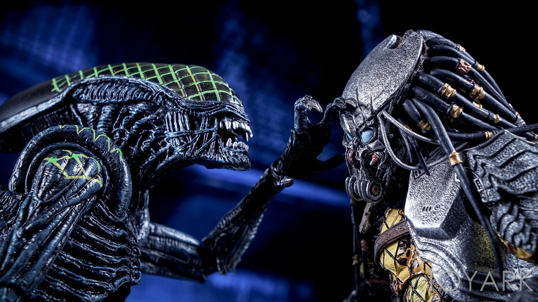 Alien vs predator collection steam фото 97