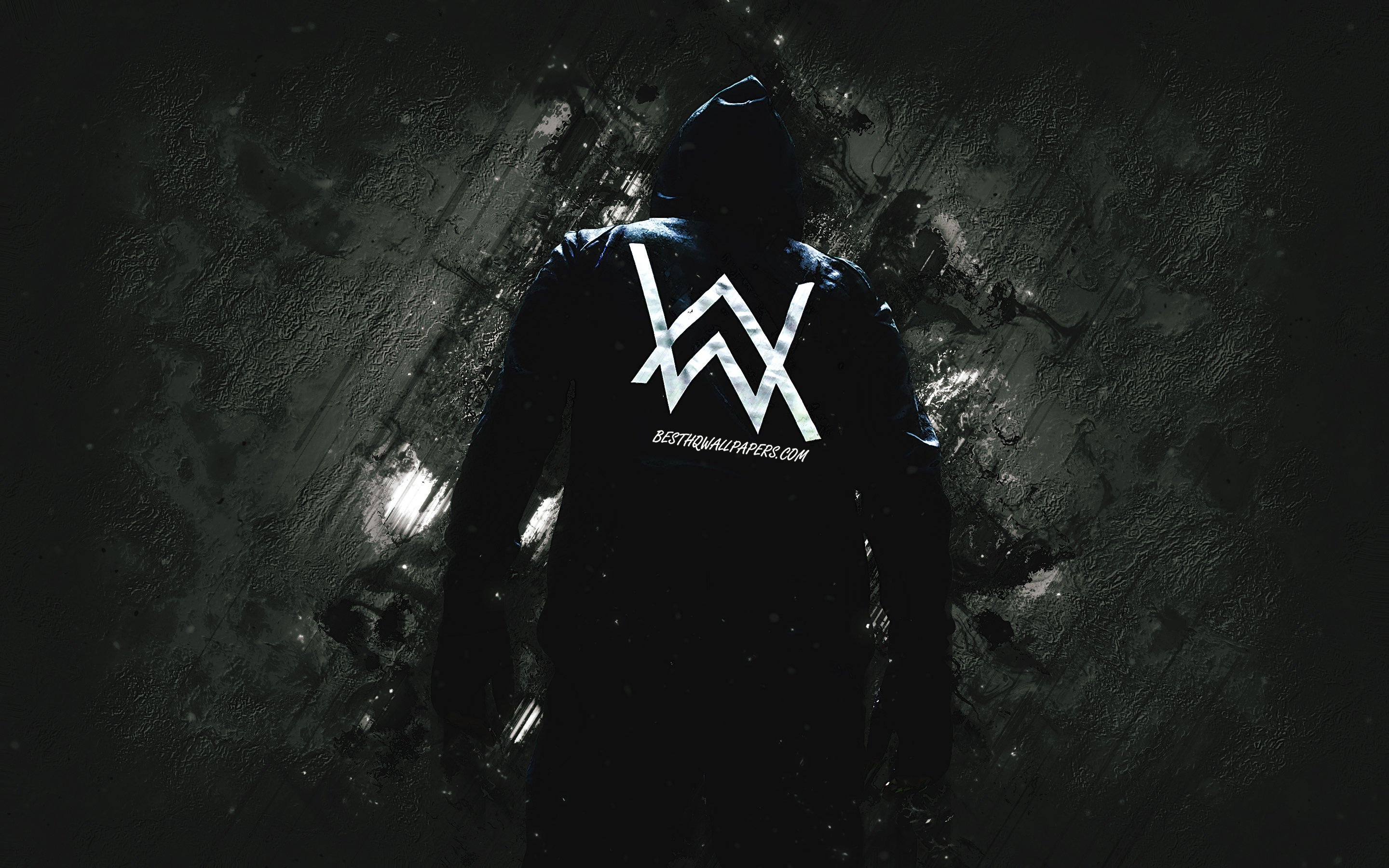 Alan walker mp3 pubg фото 95