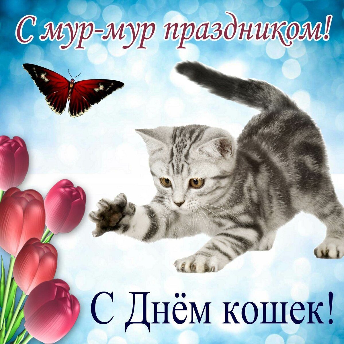 С Днем кошек ⋆ Открытки анимация