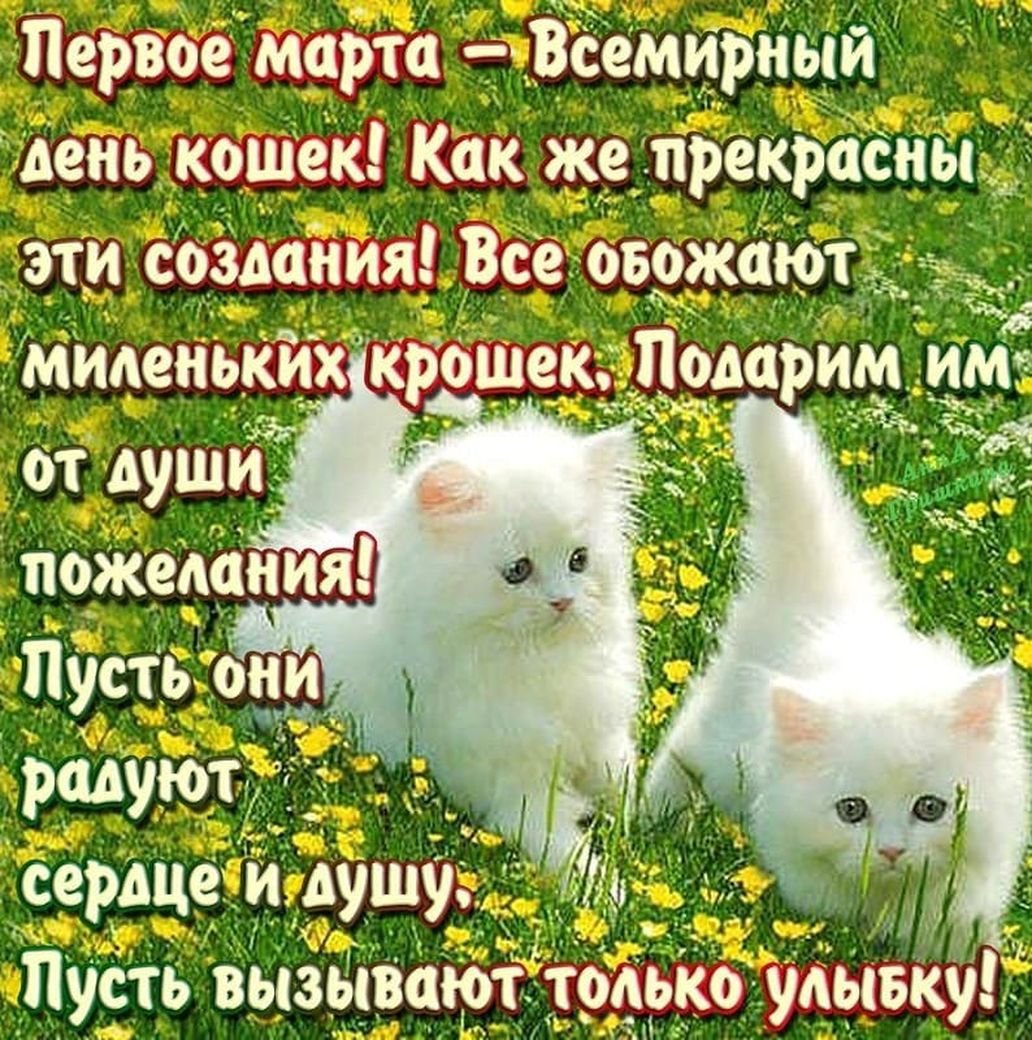 Египетский Кот