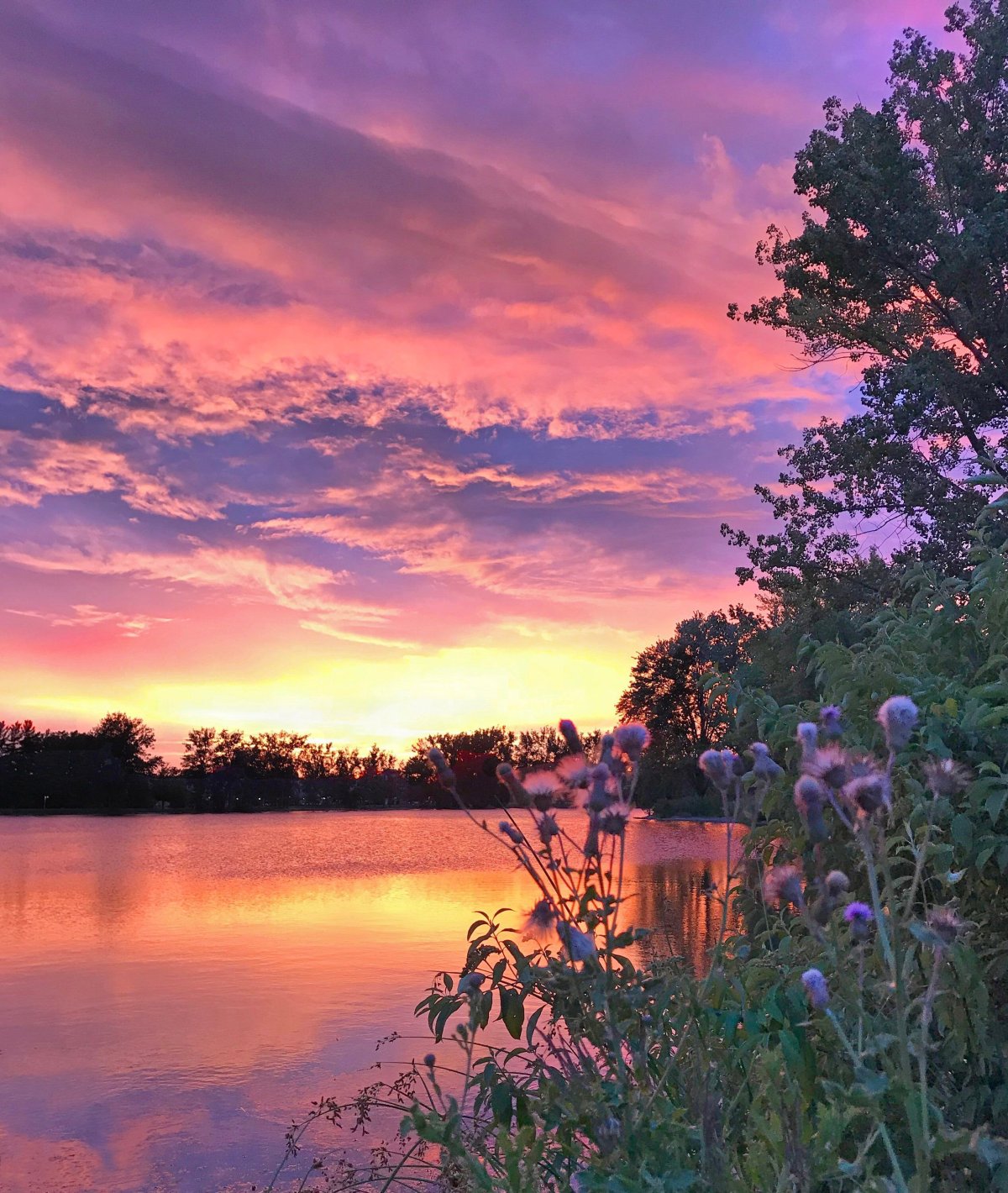 вечерний пейзаж