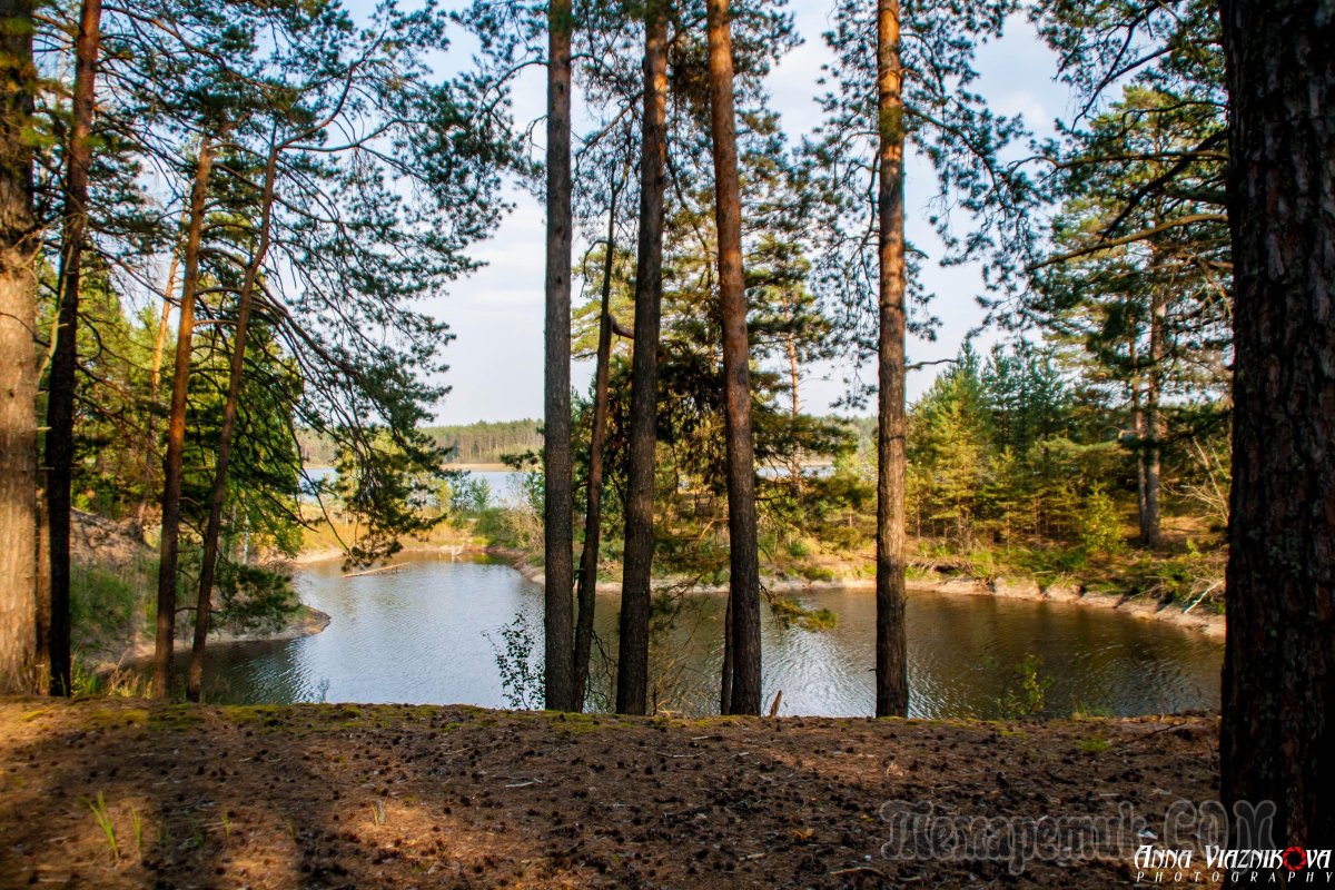 Озеро Родионово Сосновский район - 78 фото