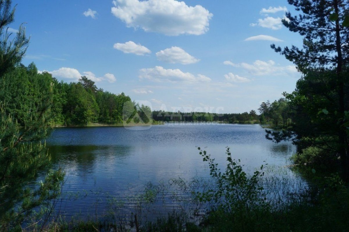 Озеро Родионово Сосновский район - 78 фото