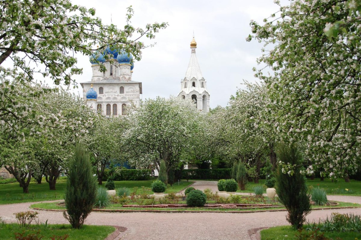 Сад в Коломенском - 74 фото