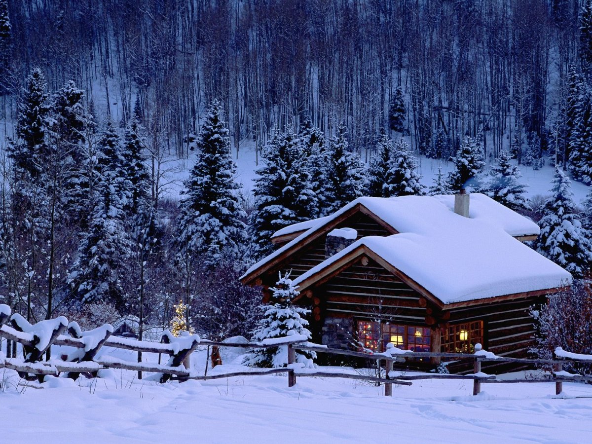 Дома в лесу зимой (141 фото)