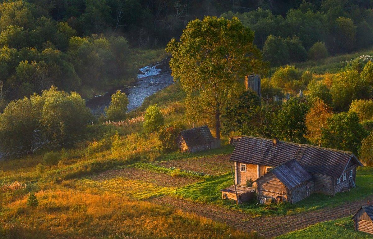 Деревенька в лесу - 77 фото