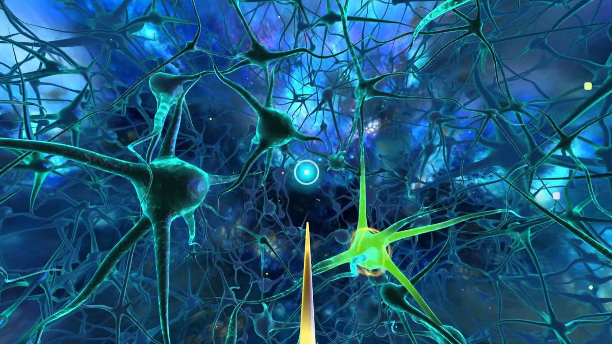 Паттерны нейронов