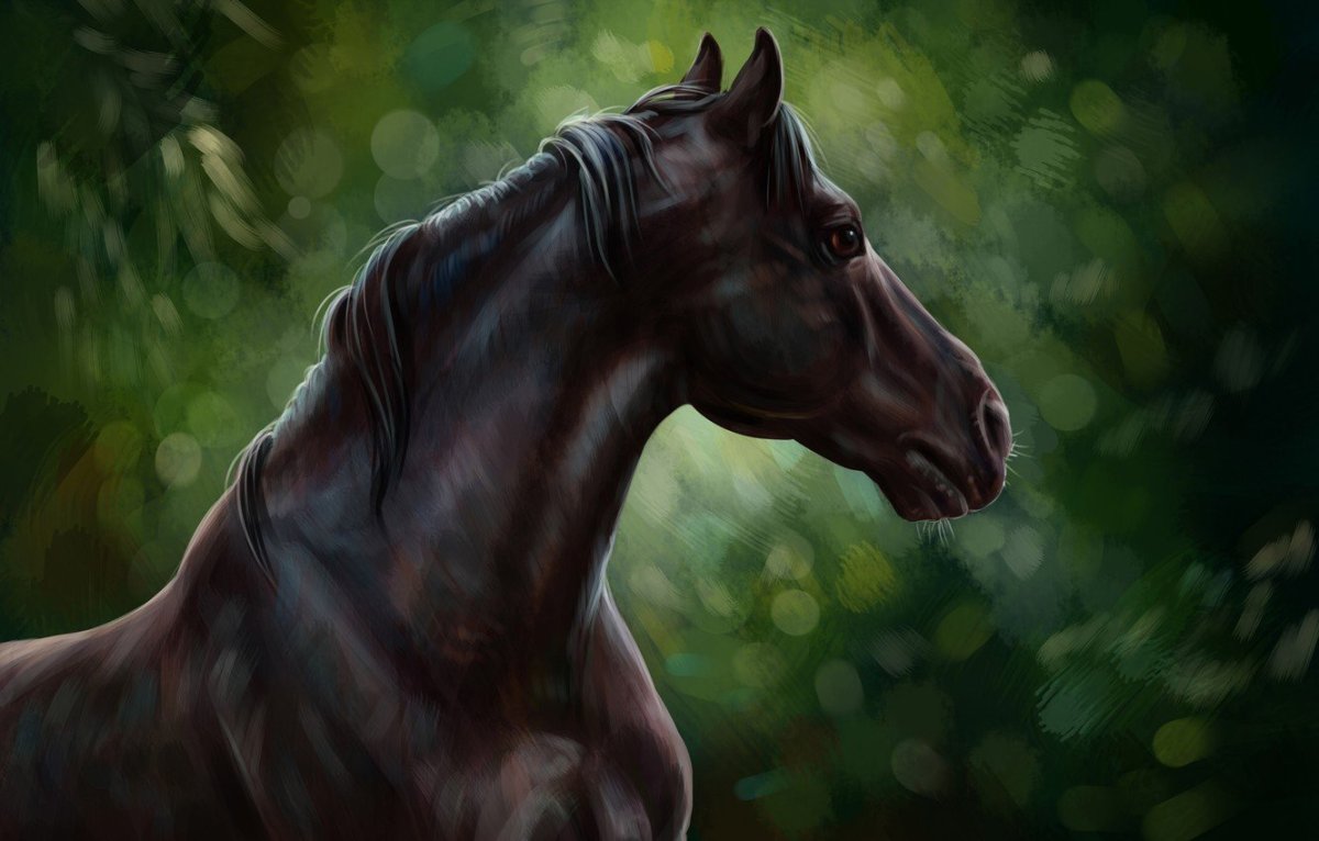 Черный конь арт - 64 фото