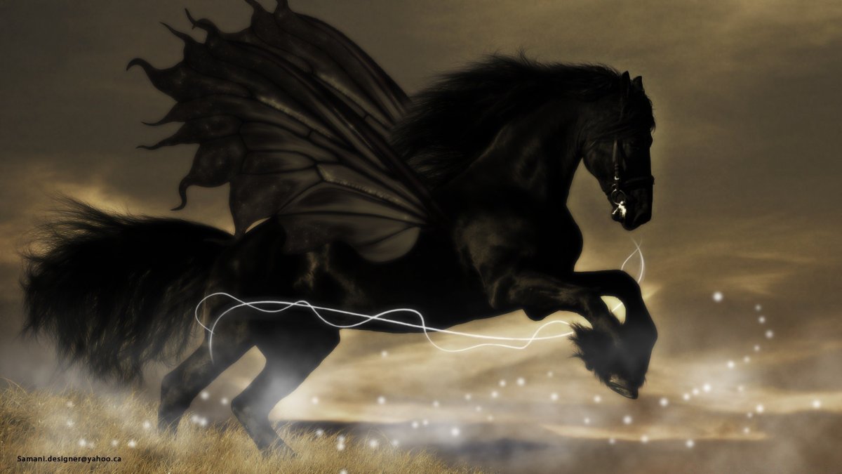 Черный конь арт