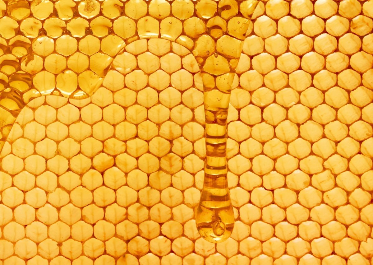 Текстура пчелы