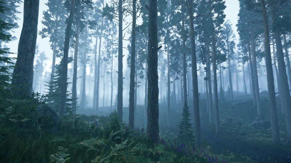 Хвойный лес арт