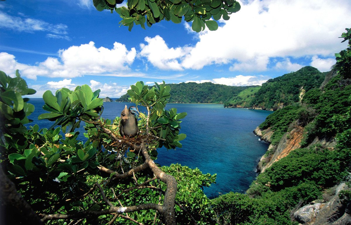 Остров Кокос Коста Рика