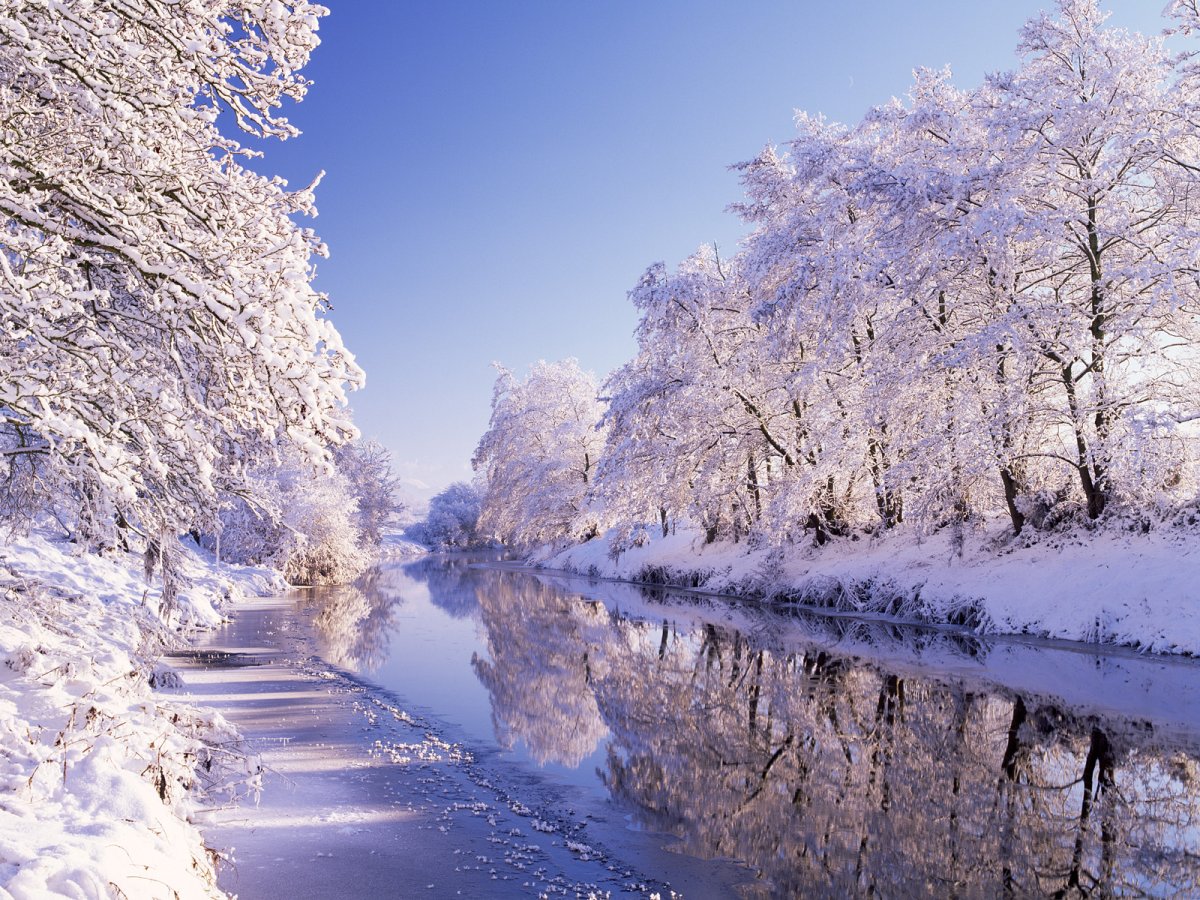 Красивая зимняя природа