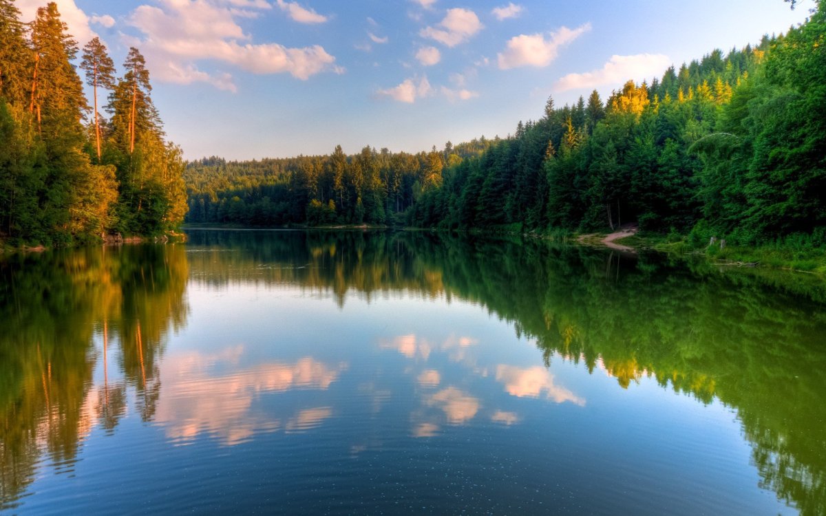 Лес и река на рабочий стол