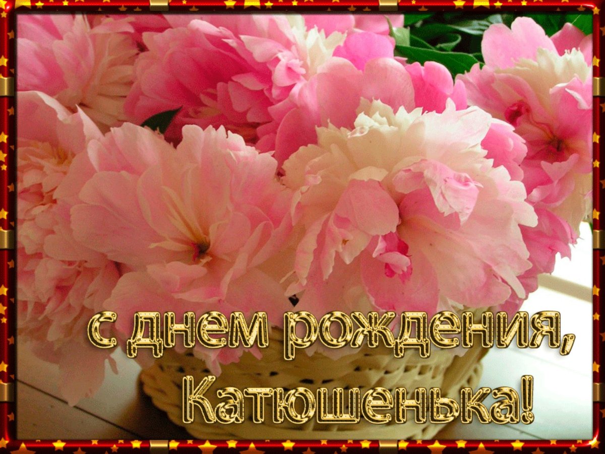 1661201497_12-kartinkin-net-p-s-dnem-roz