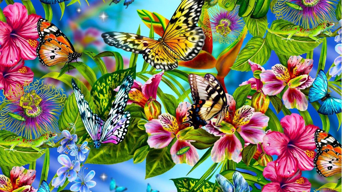 Красочный фон бабочки
