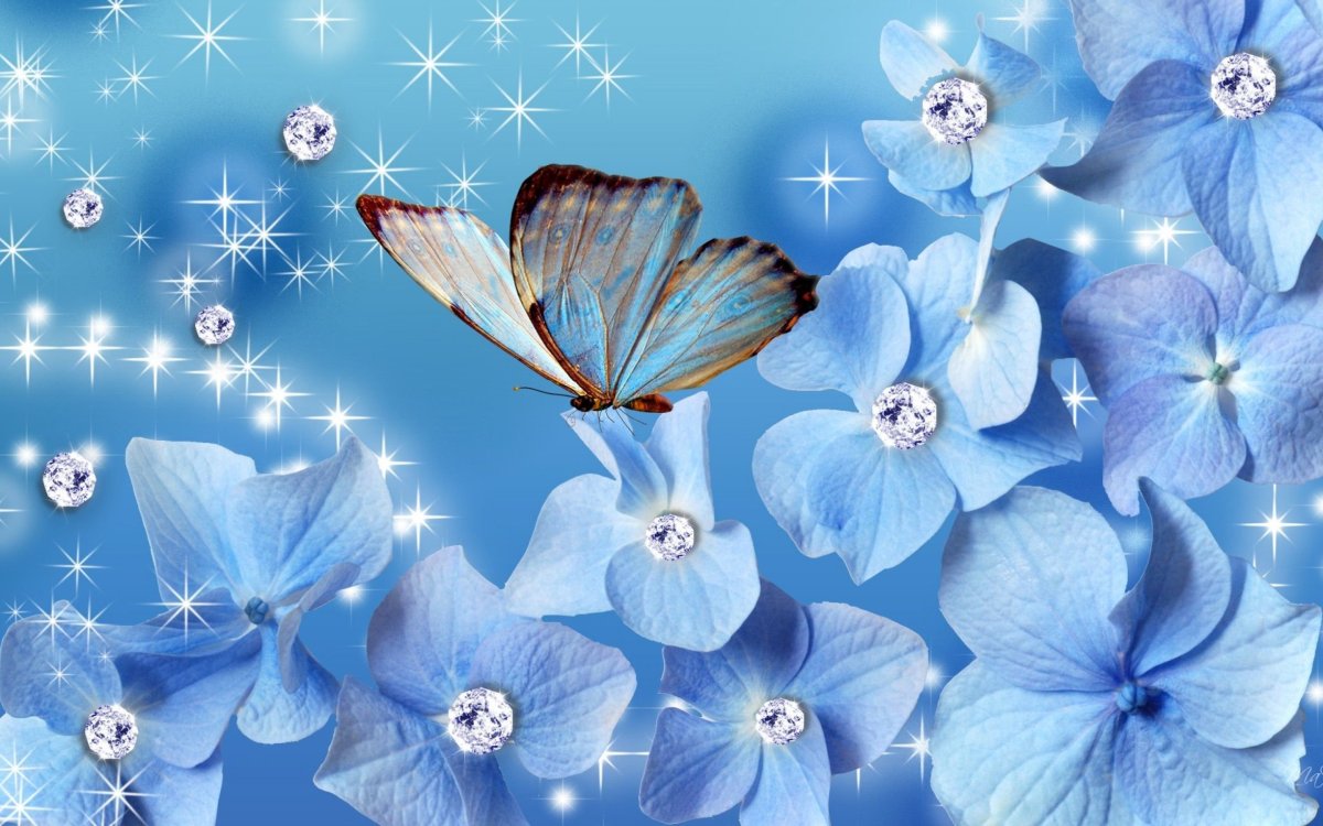Цветы с живыми бабочками
