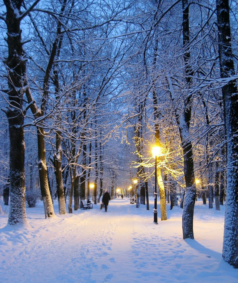 снег в парке картинки