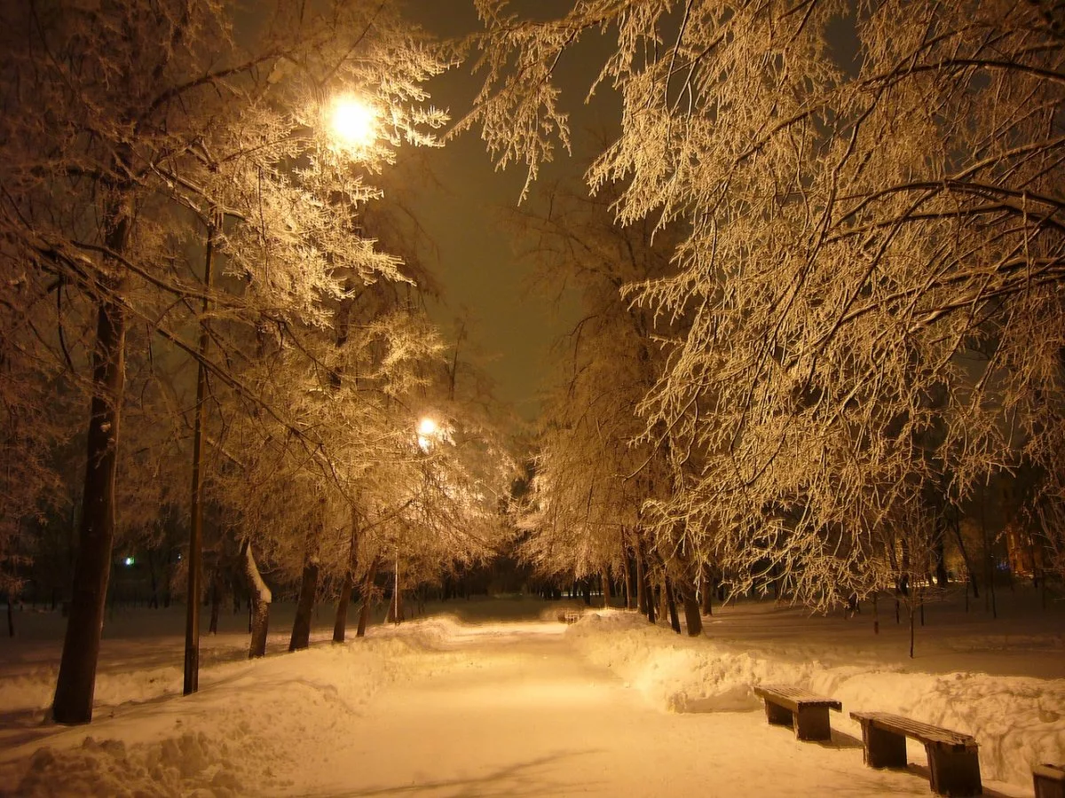 Вечером снежок. Зимний парк. Зима ночь. Зимняя аллея. Зимний вечер.