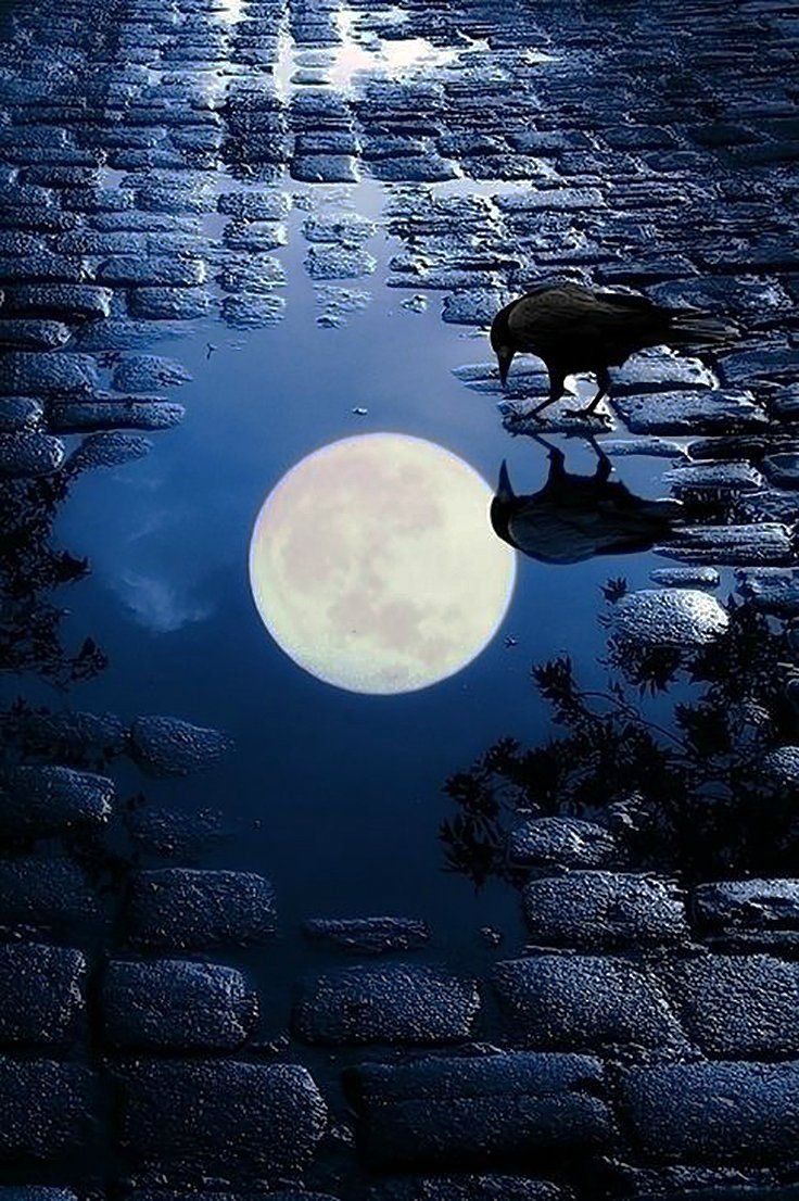 Отражение Луны в луже