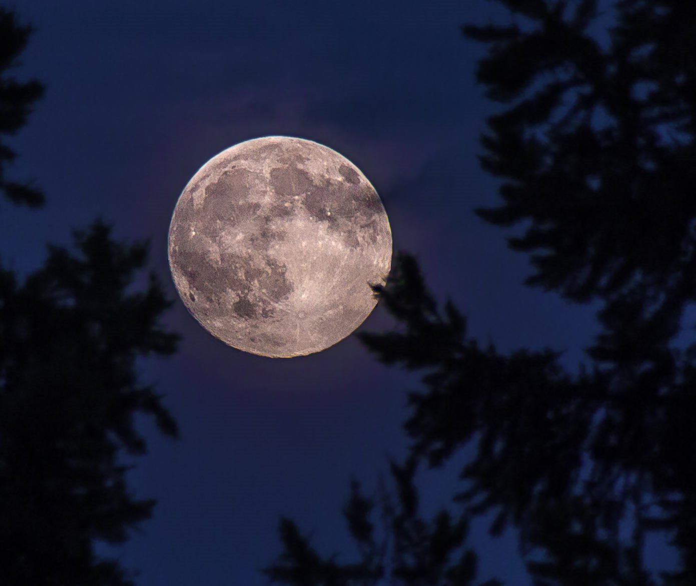 Красивая луна ответ. Полнолуние. Большая Луна. Луна обычная. Фотографии Луны.