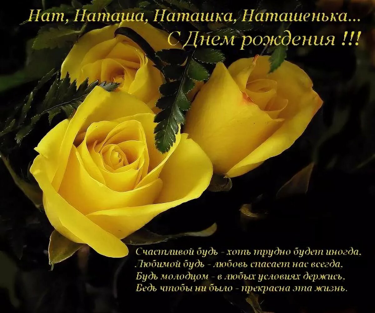 Наташку дергать. С днём рождения Наташа красивые поздравления. Наташа с днем рождения стихи. Поздравления с днем рождения желтые розы.