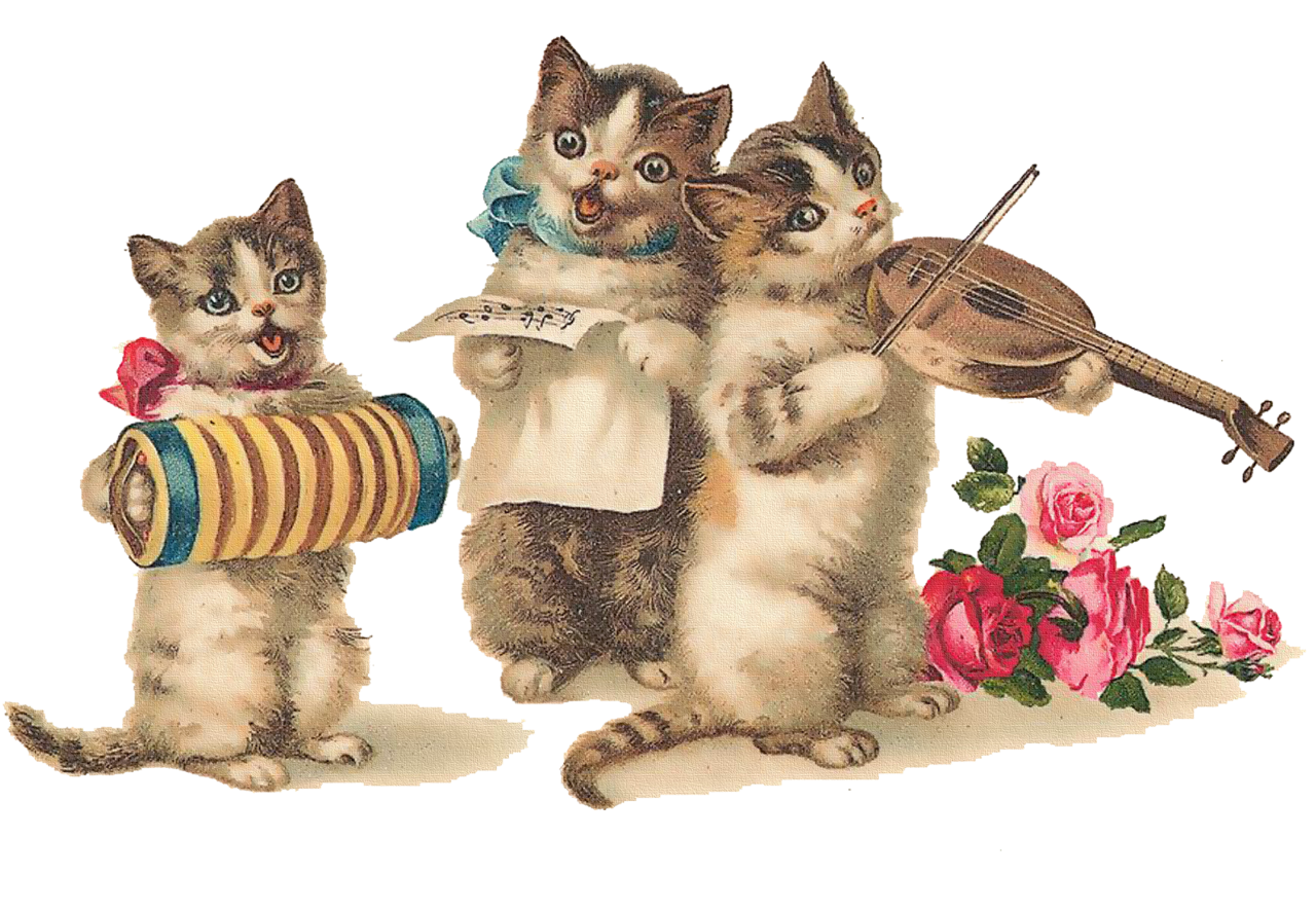 Картинки с кошками пожелания. Открытки. Поздравительные открытки с кошками. Открытка кошки с днём рождения. С днём рождения с котиками.