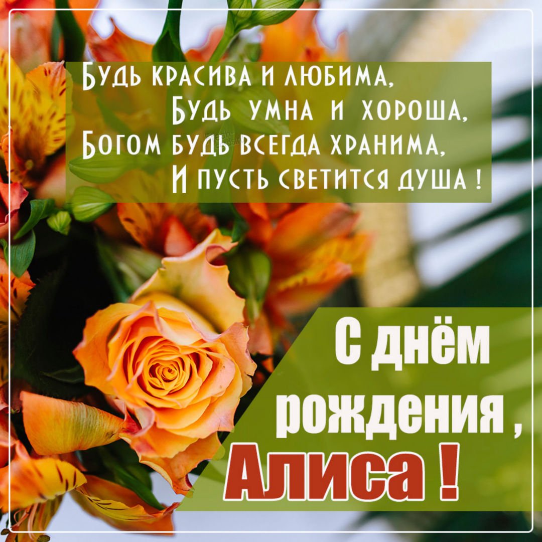 Красивые поздравления с днем рождения Алисе 💐 – бесплатные пожелания на Pozdravim