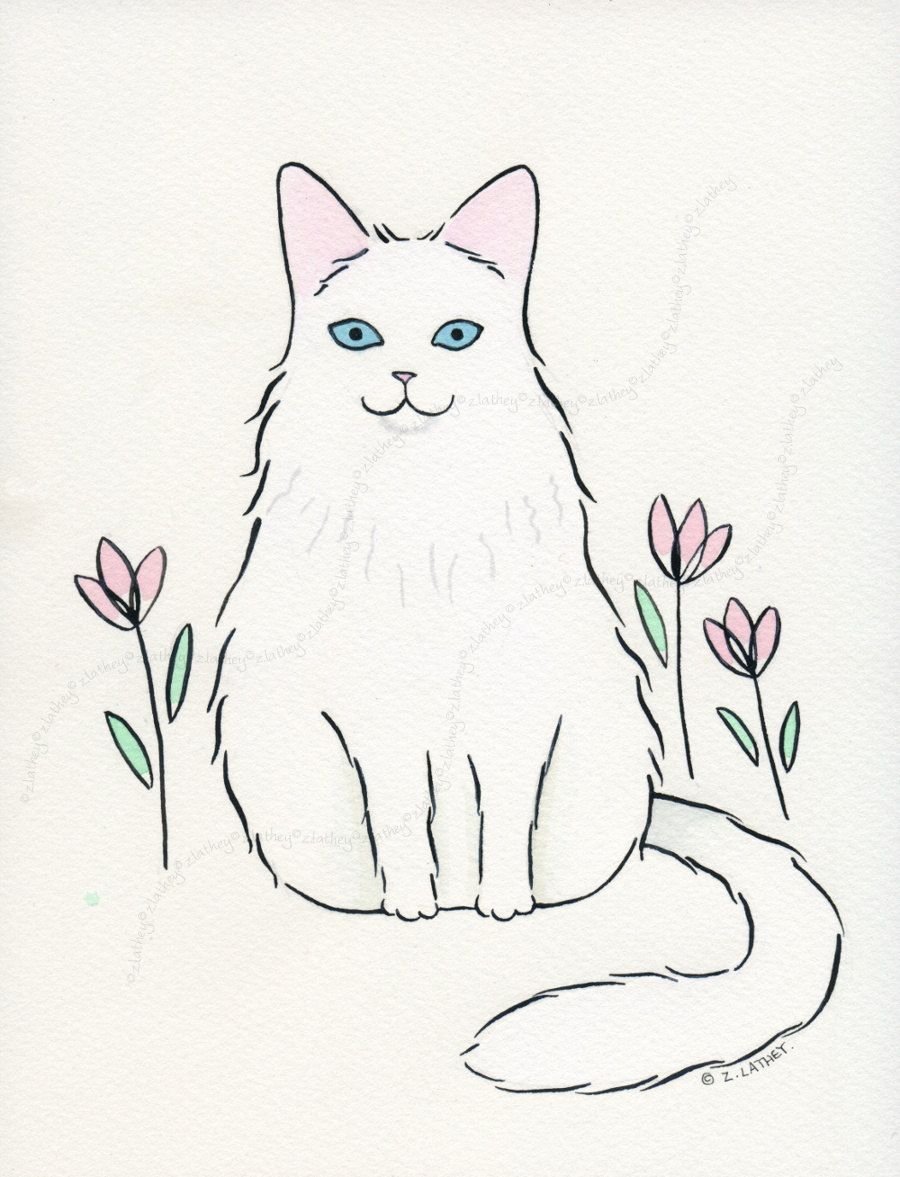 Рисунки карандашом кошки легкие