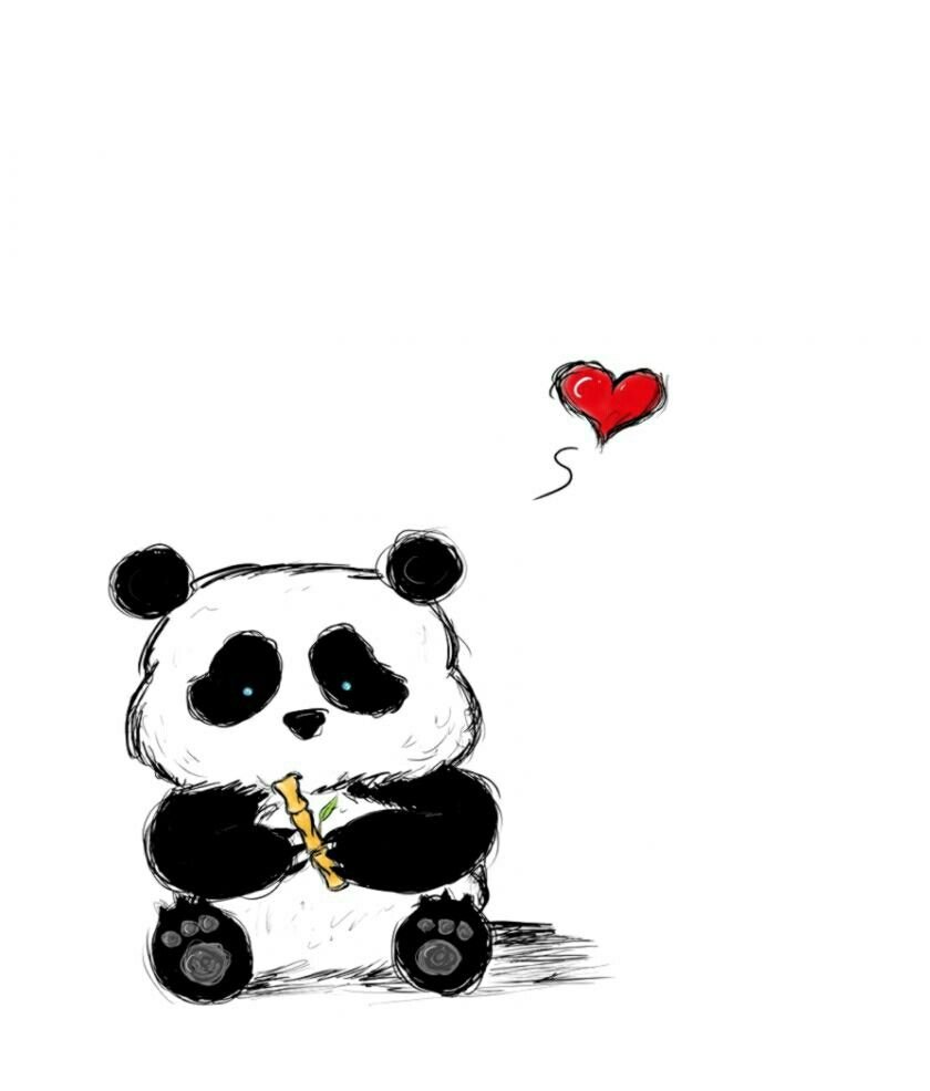Панда рисунок милый