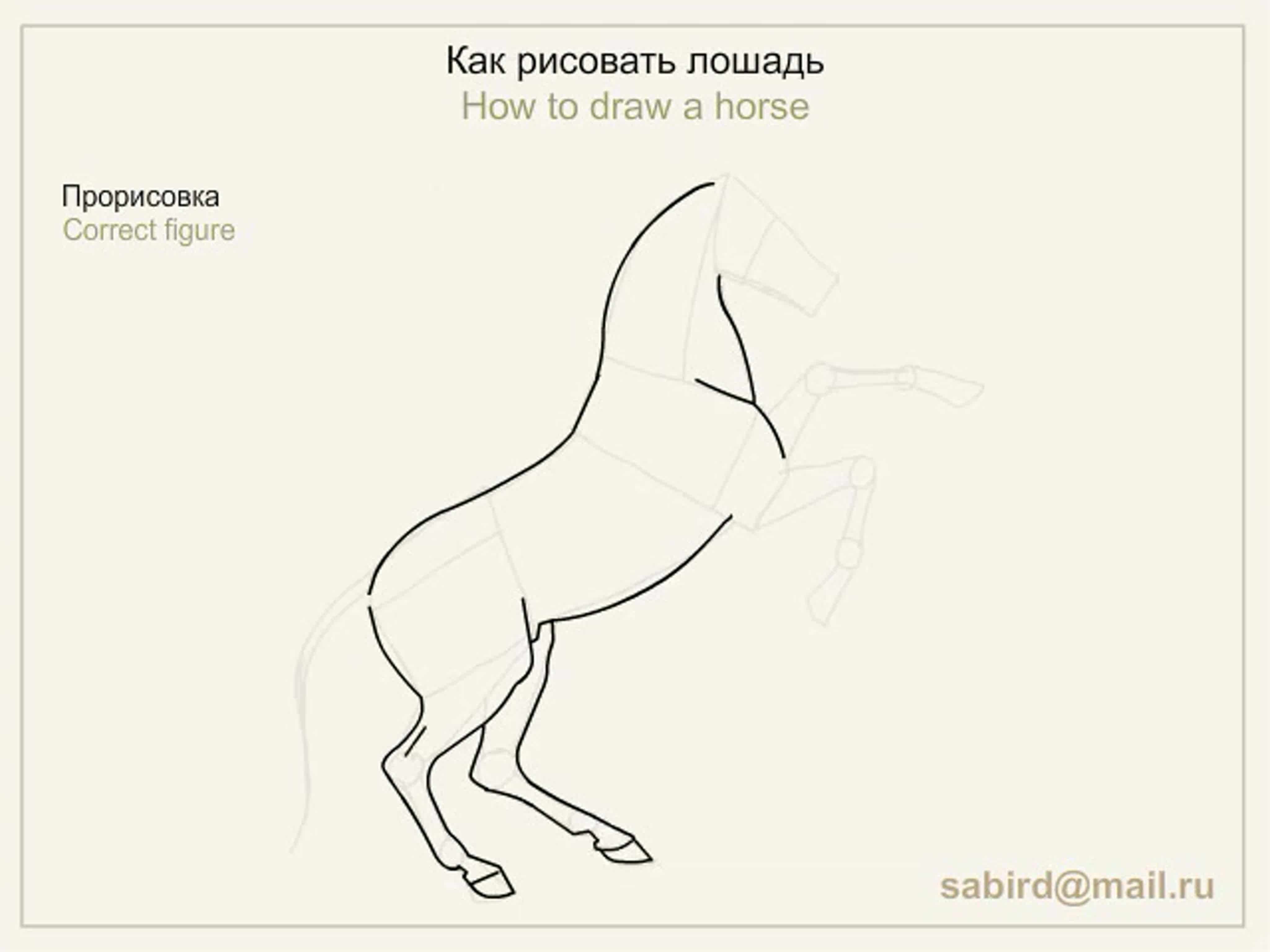 Как нарисовать лошадь на дыбах