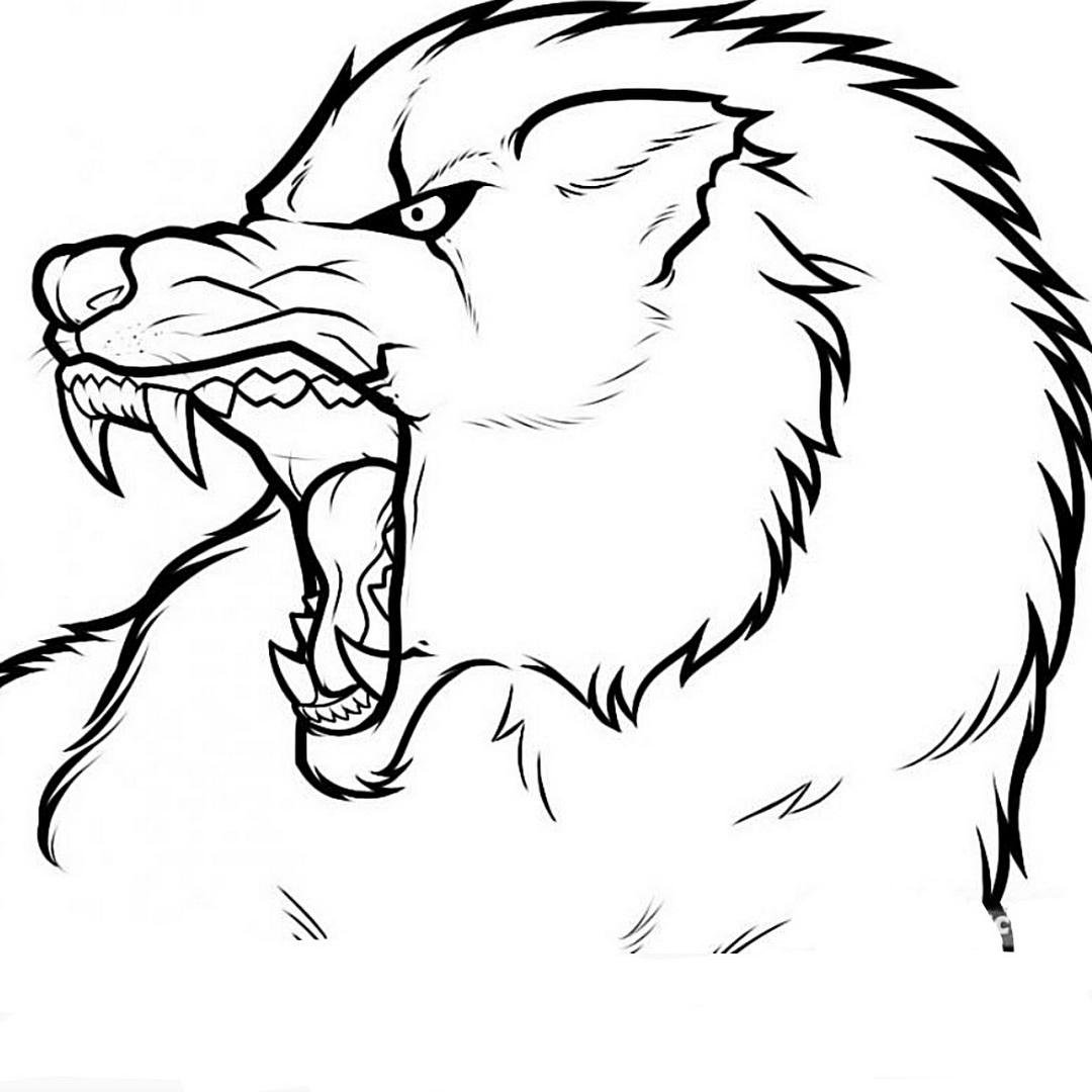 Рисунок волка для срисовки простым карандашом