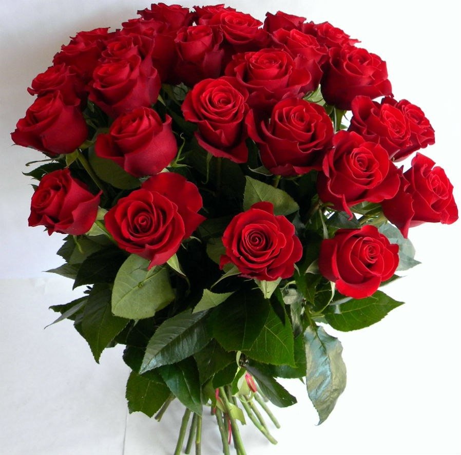 Красивый букет роз для женщины в день рождения с пожеланиями